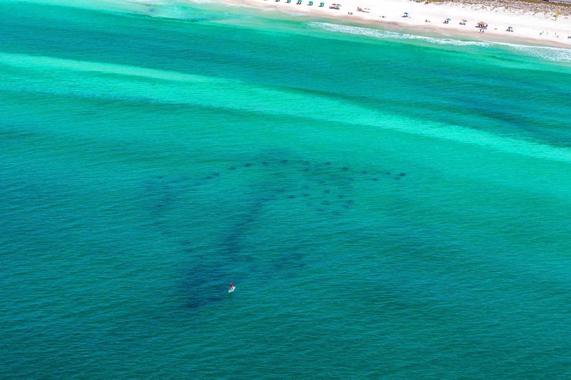 Beach Resort 406 Destin Zewnętrze zdjęcie